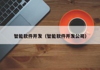 智能软件开发（智能软件开发公司）