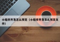 小程序开发怎么预览（小程序开发怎么预览文件）