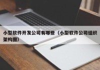 小型软件开发公司有哪些（小型软件公司组织架构图）