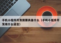 手机小程序开发需要具备什么（手机小程序开发用什么语言）