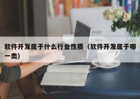 软件开发属于什么行业性质（软件开发属于哪一类）