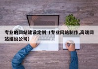 专业的网站建设定制（专业网站制作,高端网站建设公司）