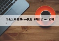 什么公司爱做seo优化（有什么seo公司）