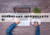 软件开发叫什么名字（软件开发叫什么名字好听）