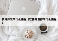 软件开发学什么课程（软件开发都学什么课程）