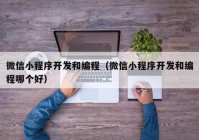 微信小程序开发和编程（微信小程序开发和编程哪个好）