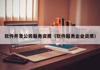 软件开发公司服务资质（软件服务企业资质）