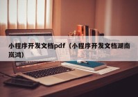 小程序开发文档pdf（小程序开发文档湖南岚鸿）