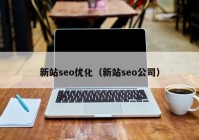 新站seo优化（新站seo公司）